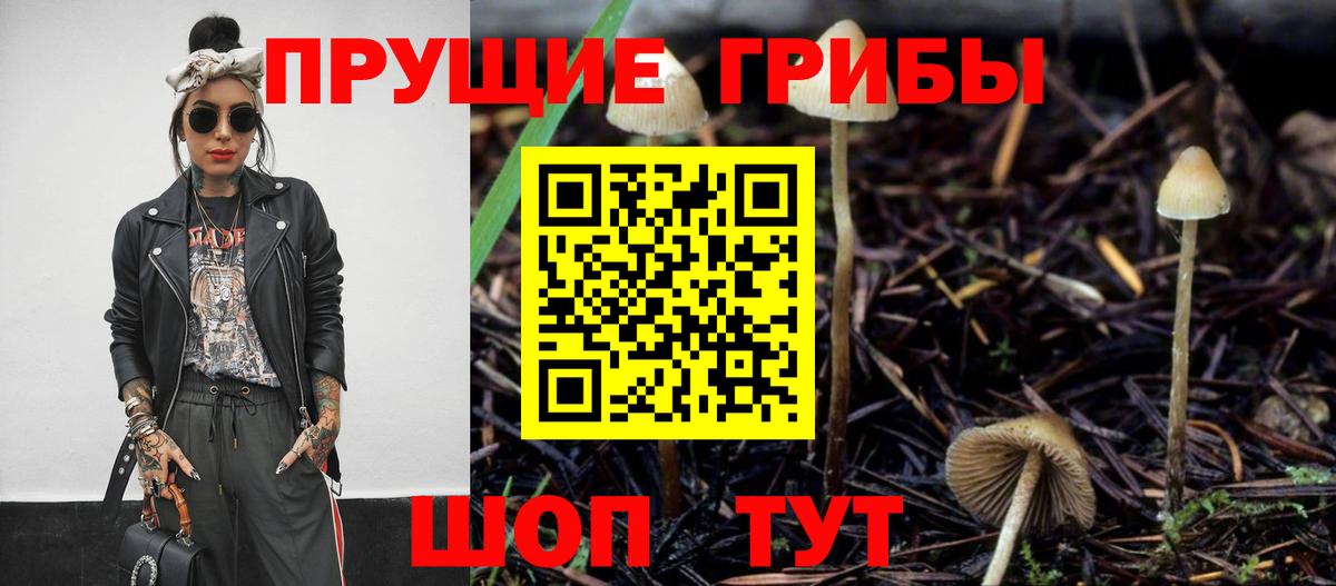 купить наркоту  Вход с VPN  Острогожск  Галлюциногенные грибы MAGIC MUSHROOMS 